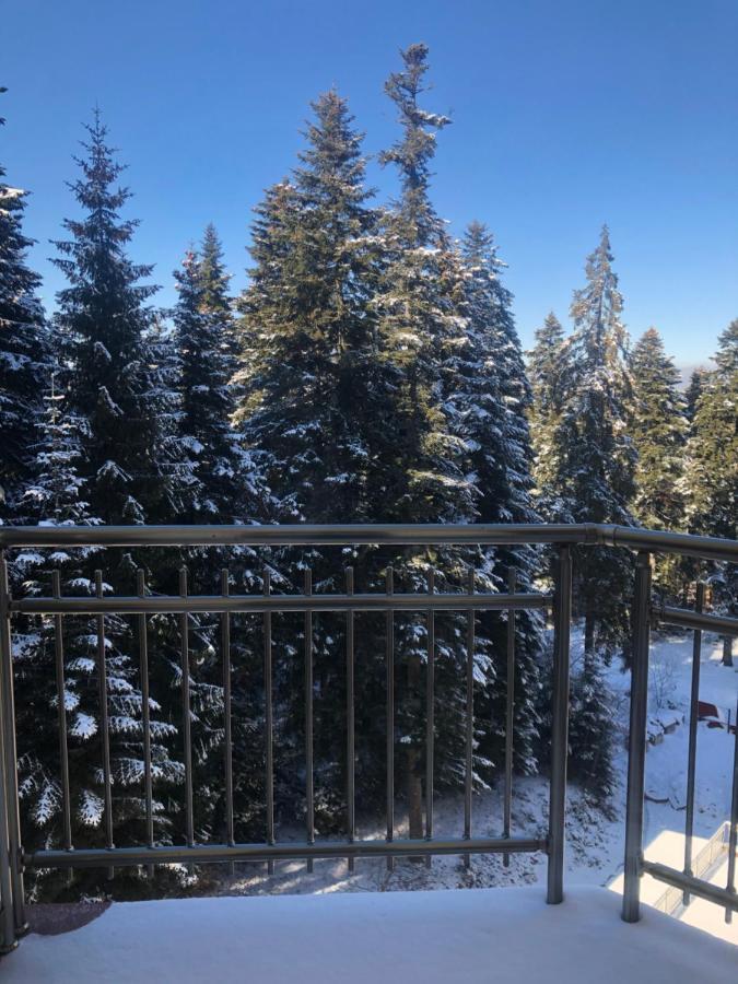 Flora Apartment 612A Боровец Екстериор снимка